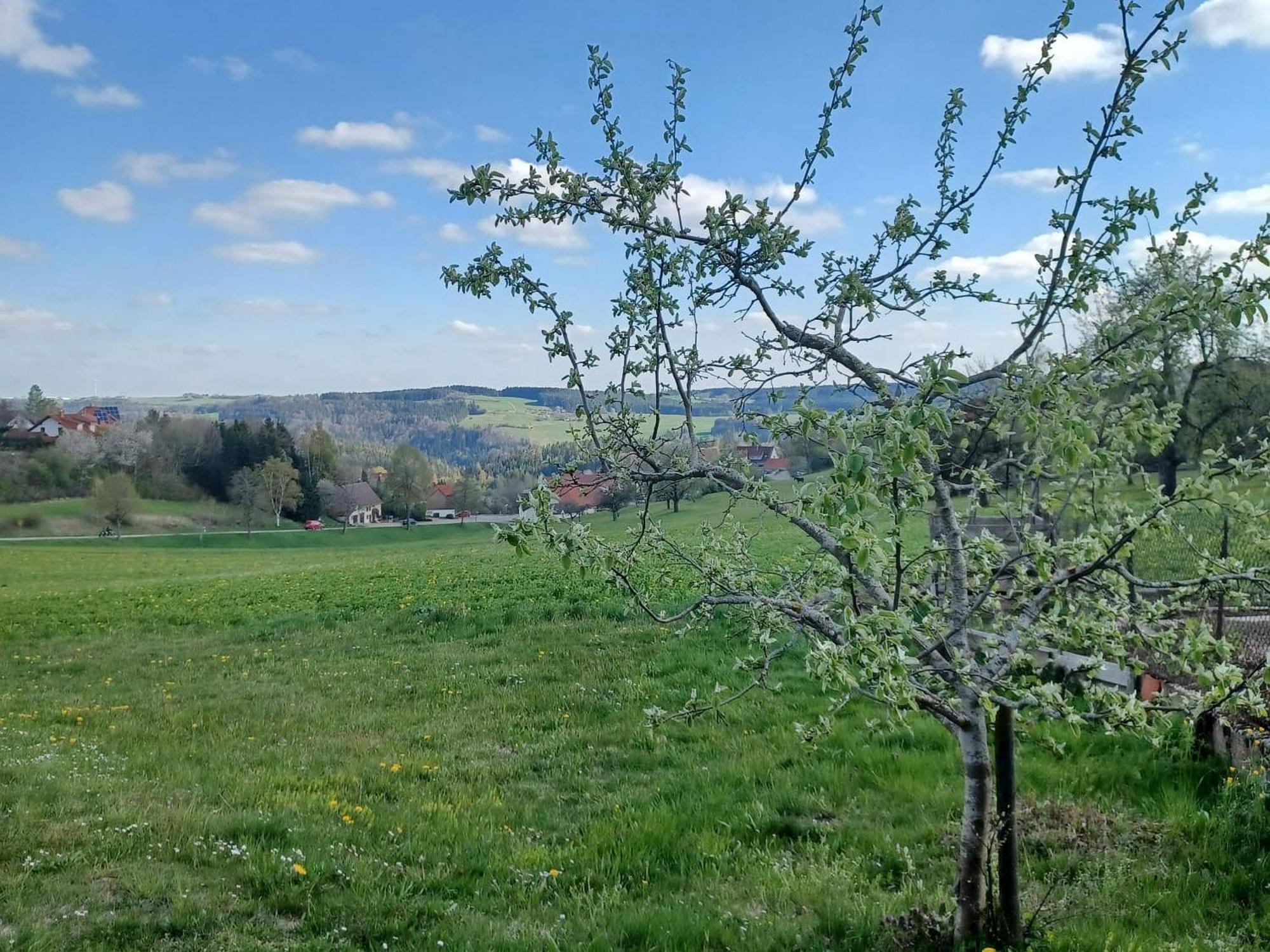Appartement Alpenpanorama *
